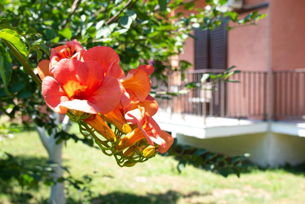 Costas Apartments Mesongi Bagian luar foto